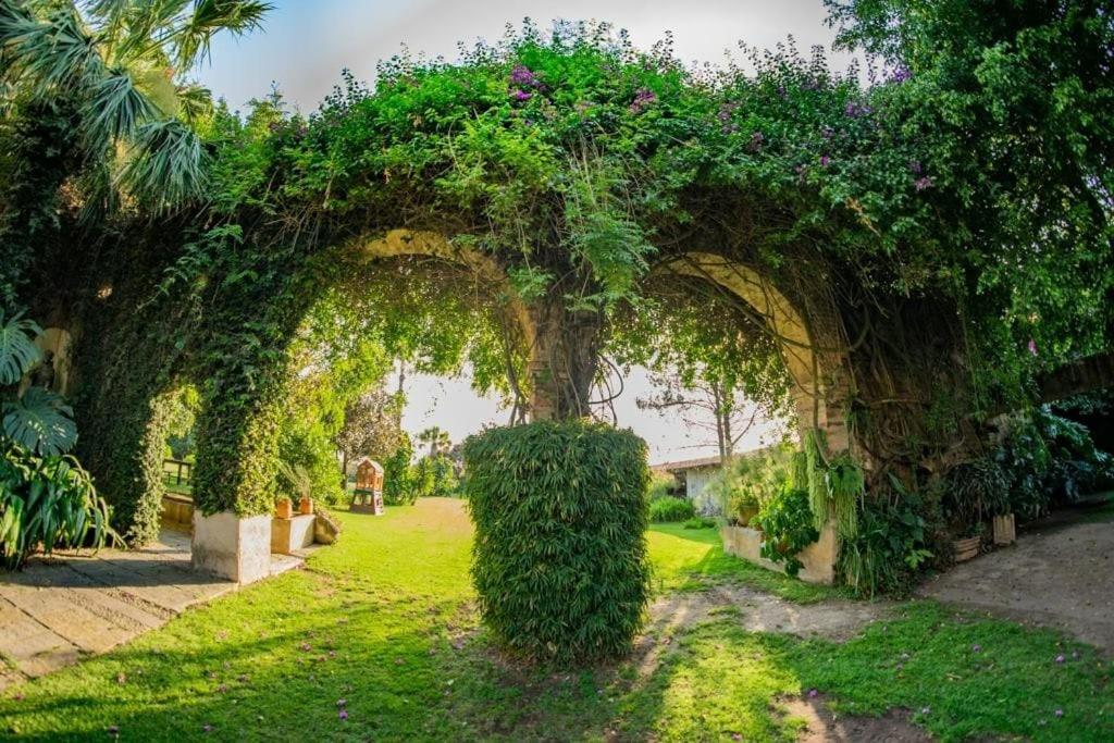 Finca San Javier El Arenal  Bagian luar foto